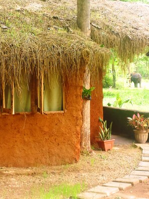 Luxury Suite, 1 Bedroom, Park View, Garden Area | View from room