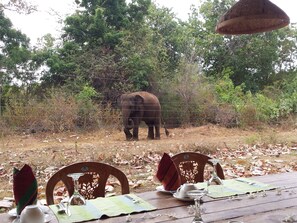 Serveert ontbijt, lunch, diner, internationale gerechten 