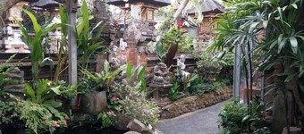 Desak Putu Putra Homestay