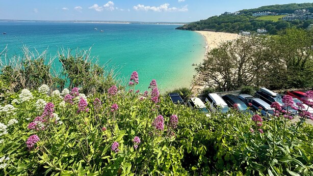 Blick auf die Küste mit Strand, klarem blauen Meer und üppiger Vegetation.