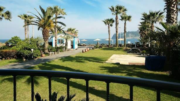 A pathway leading to a building with a blue and white facade, surrounded by palm trees and a view of the sea. - Hodo House (Seogwipo)