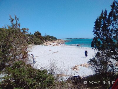 PINE CONE DIRECT ACCESS TO THE BEACH ( NO WIFI ) CIN IT091063C2000S5156