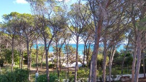 A coastal garden with trees, a paved area, and a view of the sea. - PINE CONE DIRECT ACCESS TO THE BEACH ( NO WIFI ) CIN IT091063C2000S5156 (Cala Liberotto  Sos Alinos  (Orosei))