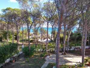 Property grounds - PINE CONE DIRECT ACCESS TO THE BEACH ( NO WIFI ) CIN IT091063C2000S5156 (Cala Liberotto Sos Alinos (Orosei))
