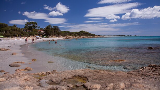 A beach with clear turquoise water, rocky shoreline, and people enjoying the area. - PINE CONE DIRECT ACCESS TO THE BEACH ( NO WIFI ) CIN IT091063C2000S5156 (Cala Liberotto  Sos Alinos  (Orosei))
