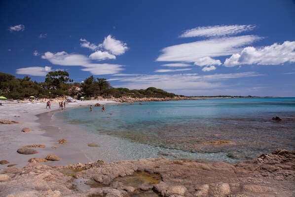 Beach - PINE CONE DIRECT ACCESS TO THE BEACH ( NO WIFI ) CIN IT091063C2000S5156 (Cala Liberotto Sos Alinos (Orosei))