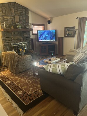 TV connectée, cheminée, lecteur de DVD, livres