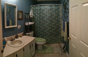Ensemble douche/baignoire, sèche-cheveux, serviettes fournies, savon