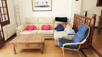 TV connectée, cheminée, lecteur de DVD, livres