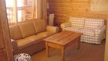 Televisio, DVD-soitin, kirjoja, stereot