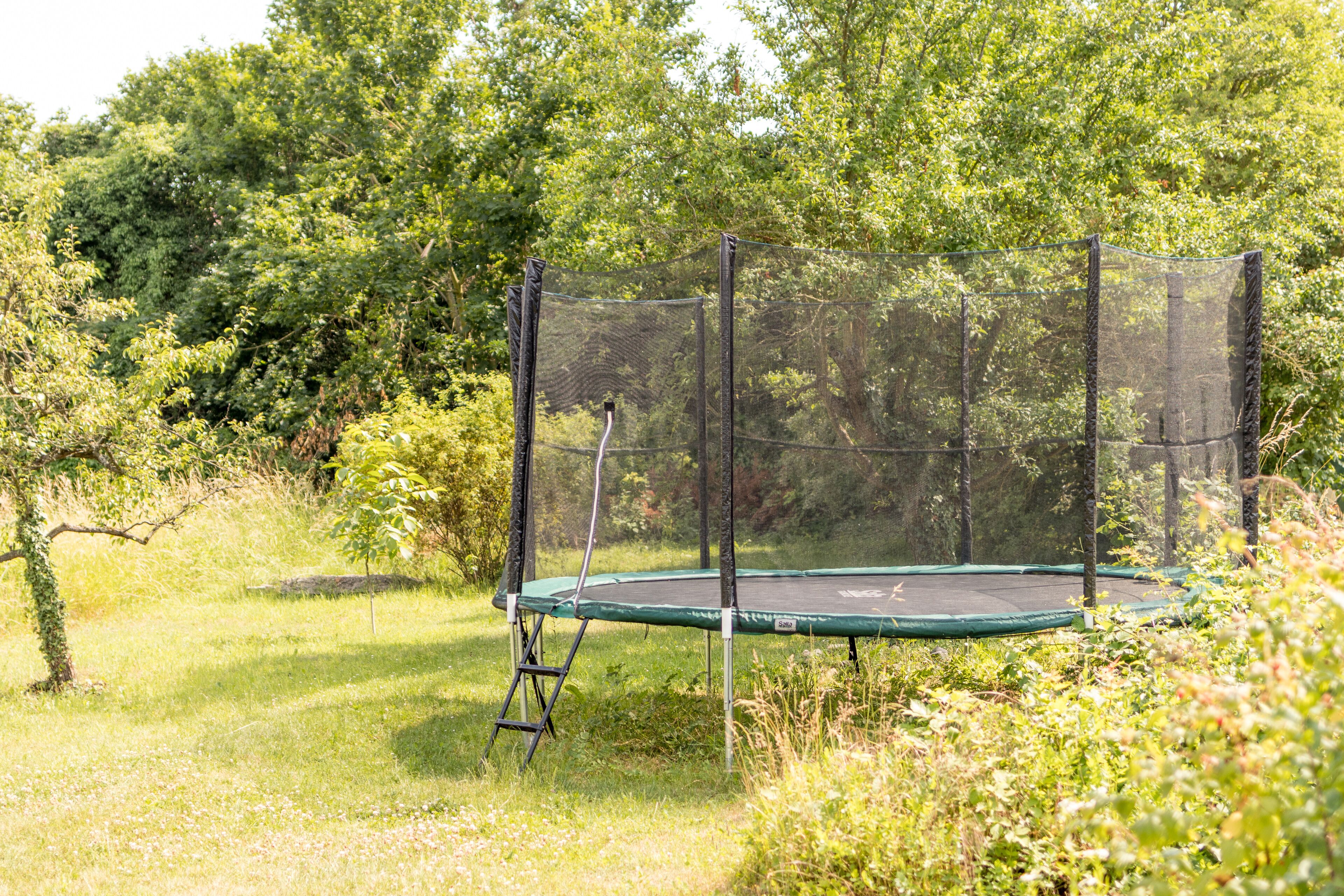 A trampoline in a grassy area with trees in the background.