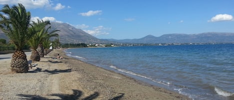 Playa en los alrededores