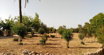 Villa Felanitxissa, jossa on uima-allas, grilli, 3 makuuhuonetta, 3 kylpyhuonetta ja wifi.