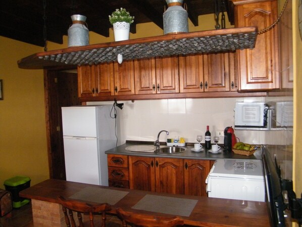 Fridge, microwave, oven, coffee/tea maker