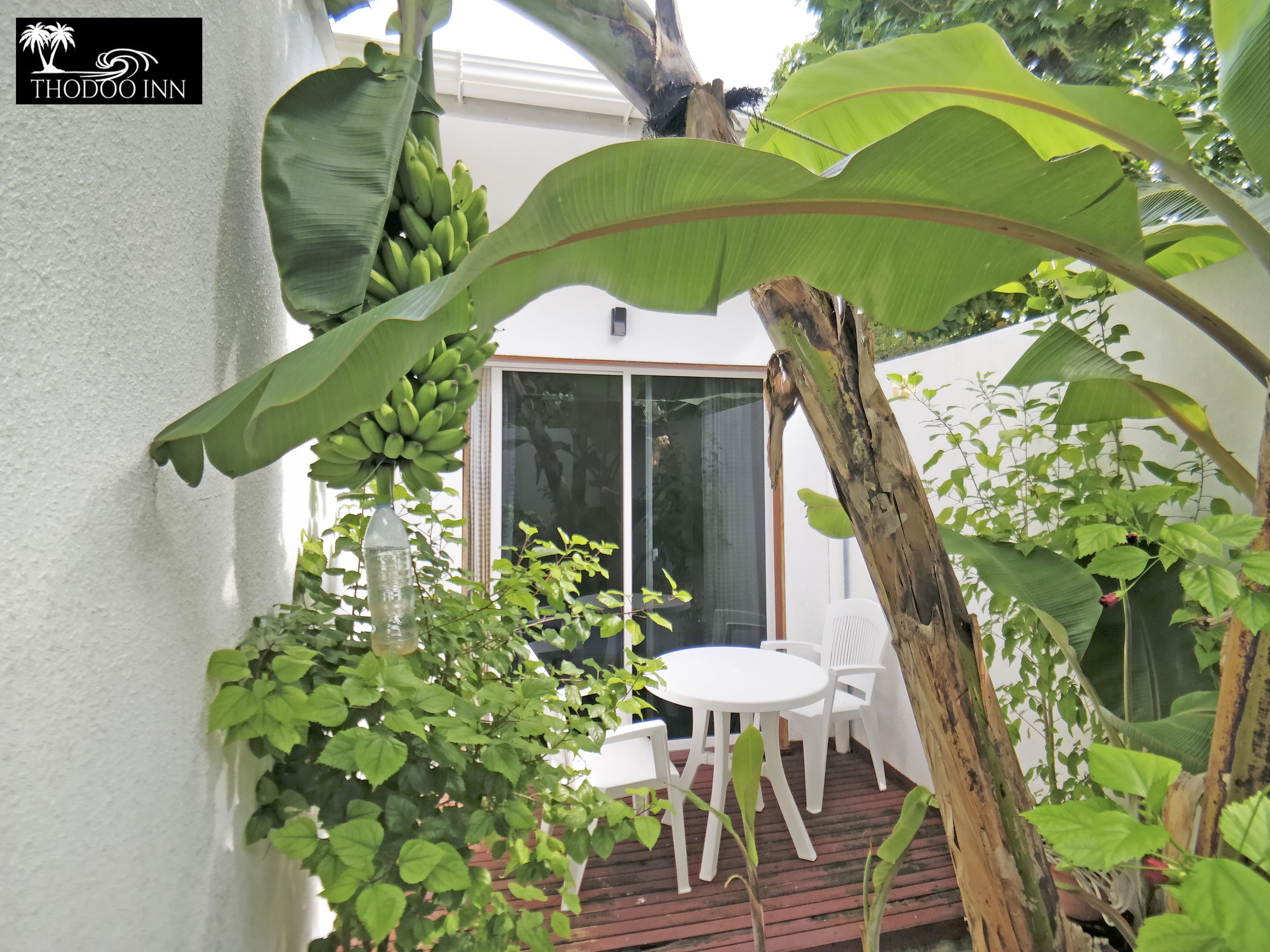 Un patio con una mesa y sillas blancas, rodeado de exuberante follaje y plantas de banano.