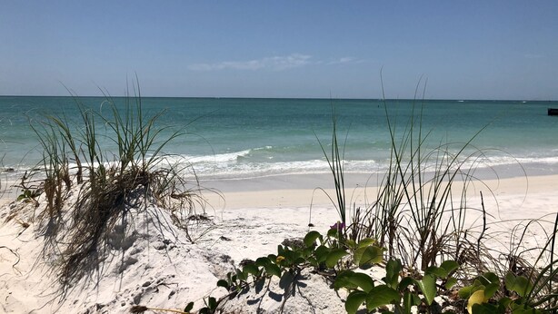A beach with clear turquoise water, sandy shore, and sparse vegetation. - 1st Floor 2 Bed 1 bath home, short walk to beach, 1 step to door, North end LBK (Longboat Key)