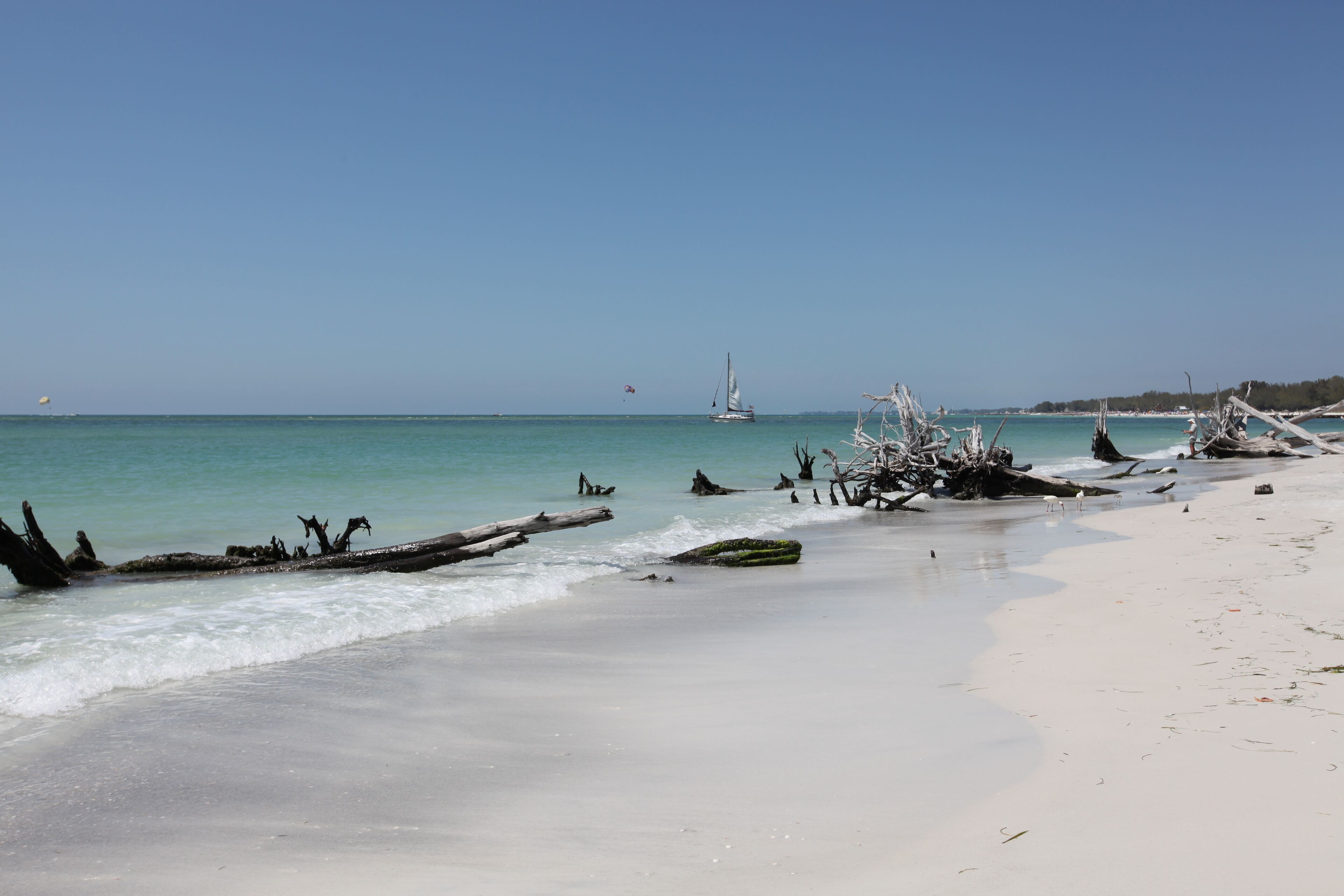 Une plage à l’eau turquoise et limpide, parsemée de bois flotté, avec un voilier visible au loin.