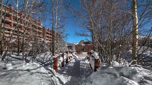 Un sendero cubierto de nieve que lleva a un edificio con valla metálica y bancos.