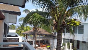Ein Poolbereich mit einer Palme, Sitzgelegenheiten im Freien und einem Gebäude mit großen Fenstern.