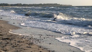 A beach with waves crashing onto the shore, scattered rocks, and a distant tree line.