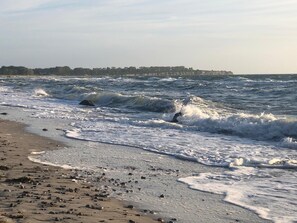 Beach nearby - Relax under thatch with sauna, fireplace and sea - 5 star holiday home (Rerik)