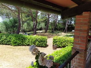 Vista desde la habitación