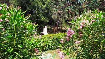 إطلالة الغرفة