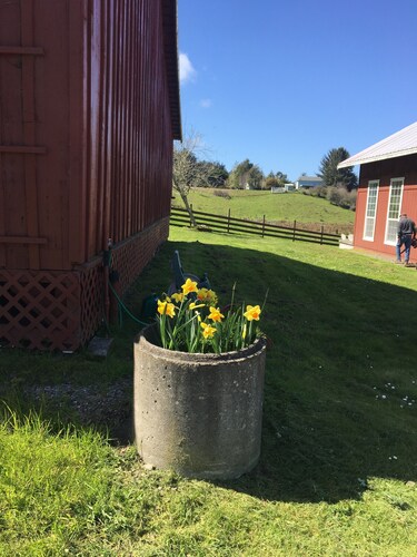 Ferndale BluffHouse --  Farm House sleeps 9; 10 acre former dairy