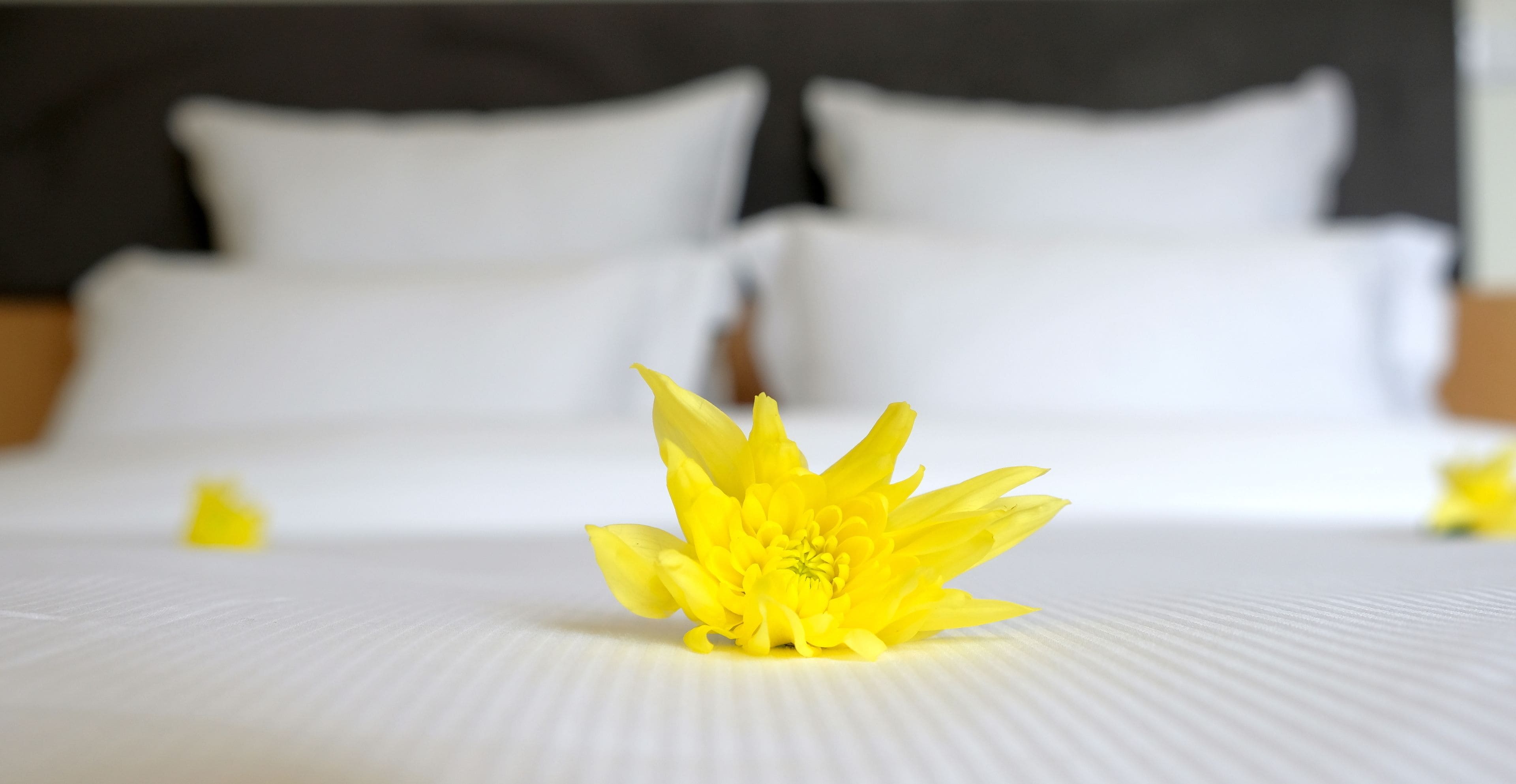 Apartment, 2 Bedrooms | Desk, soundproofing, iron/ironing board, free cribs/infant beds