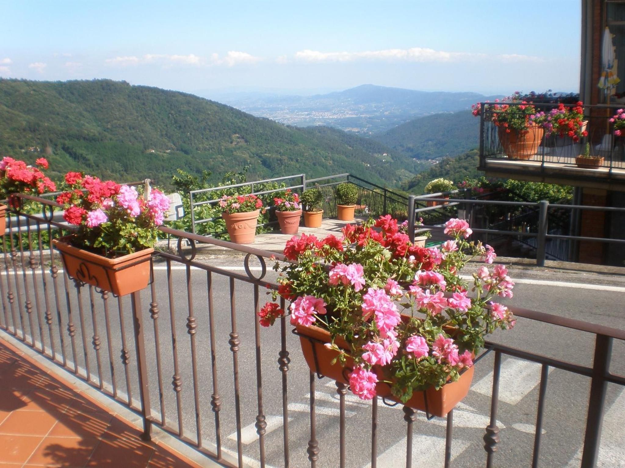 Un balcon orné de géraniums en pot, offrant une vue sur un paysage montagneux.