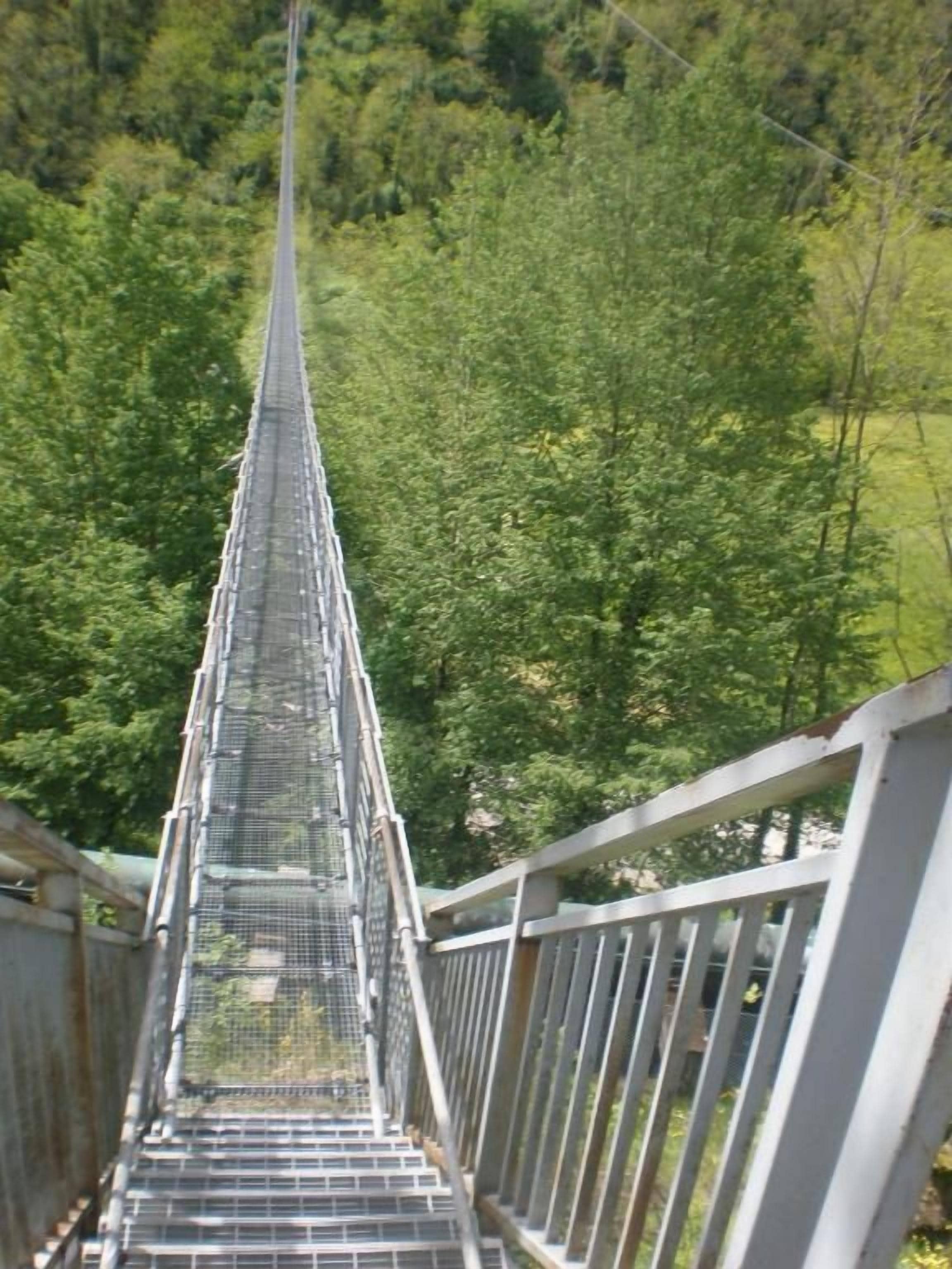 Un puente colgante con barandillas metálicas y pasarela con red, rodeado de un bosque frondoso.