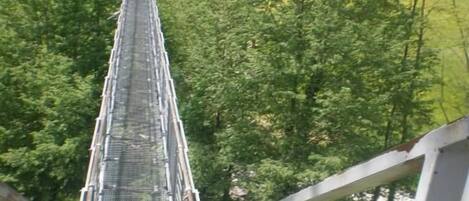 Un puente colgante con barandillas metálicas y pasarela con red, rodeado de un bosque frondoso.