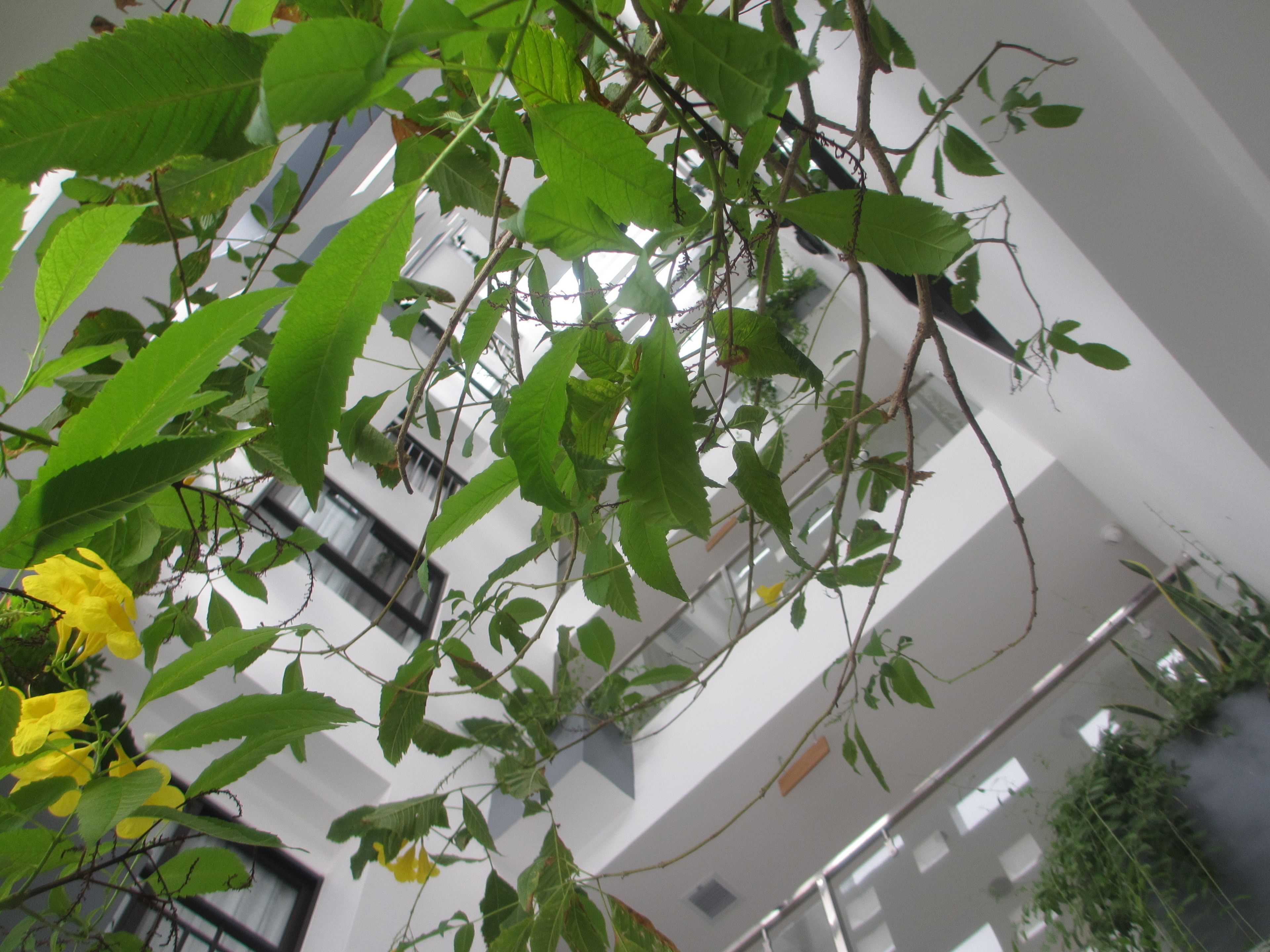 deluxe room, balcony, double/twin bed | view from room