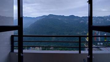 A room with a view of a mountainous landscape through a window with a metal railing.