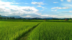 Ein weitläufiges, grünes Feld mit blauem Himmel und fernen Bergen.
