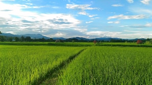 住宿景觀