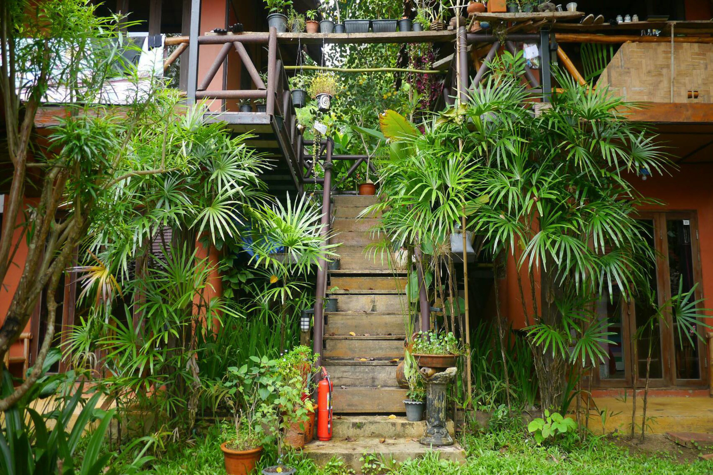 A wooden staircase surrounded by lush greenery and potted plants.