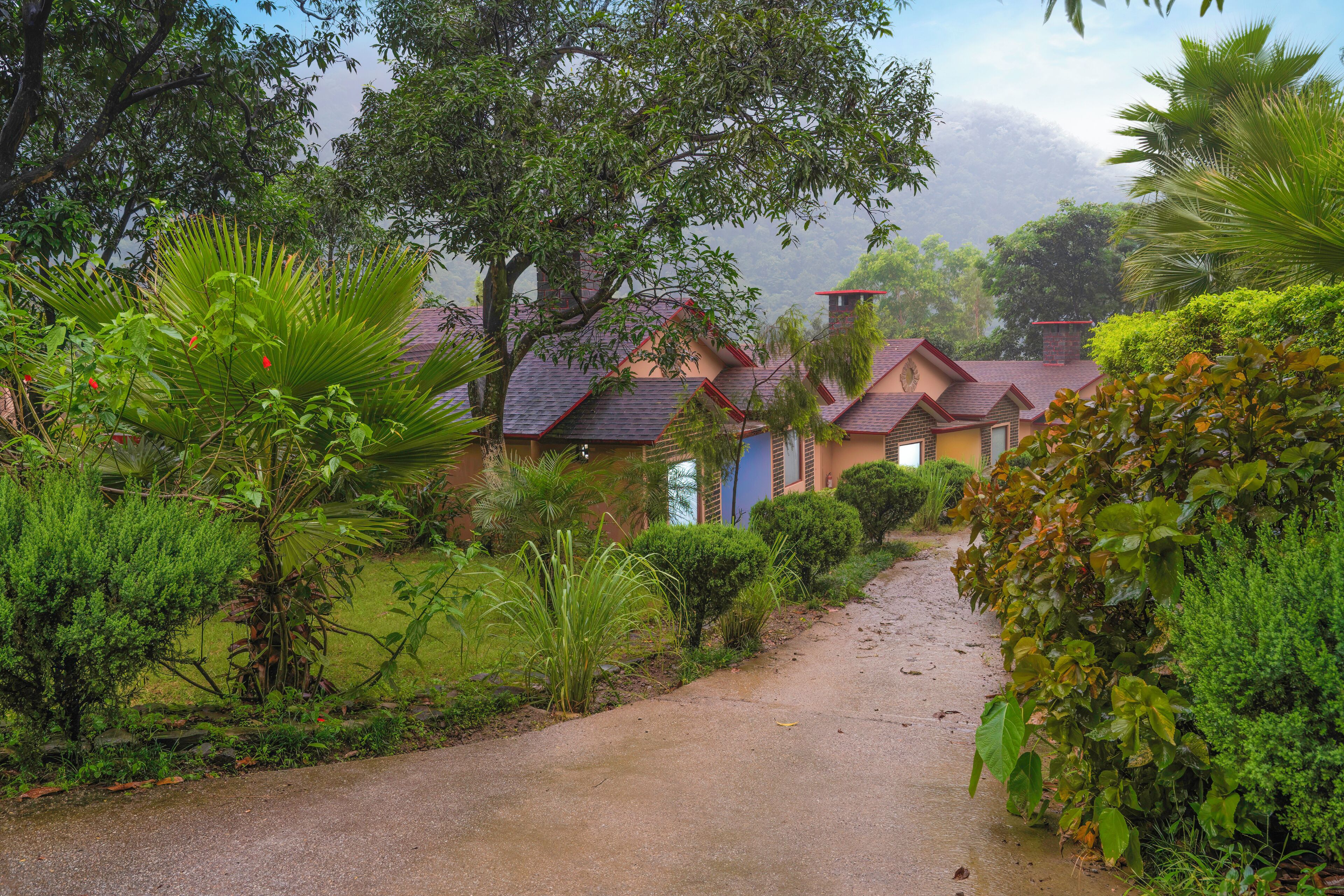 A pathway leading to a row of houses surrounded by lush greenery and trees.