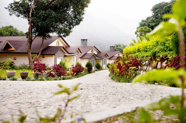 Interior - LaTigre Resort (Salt)