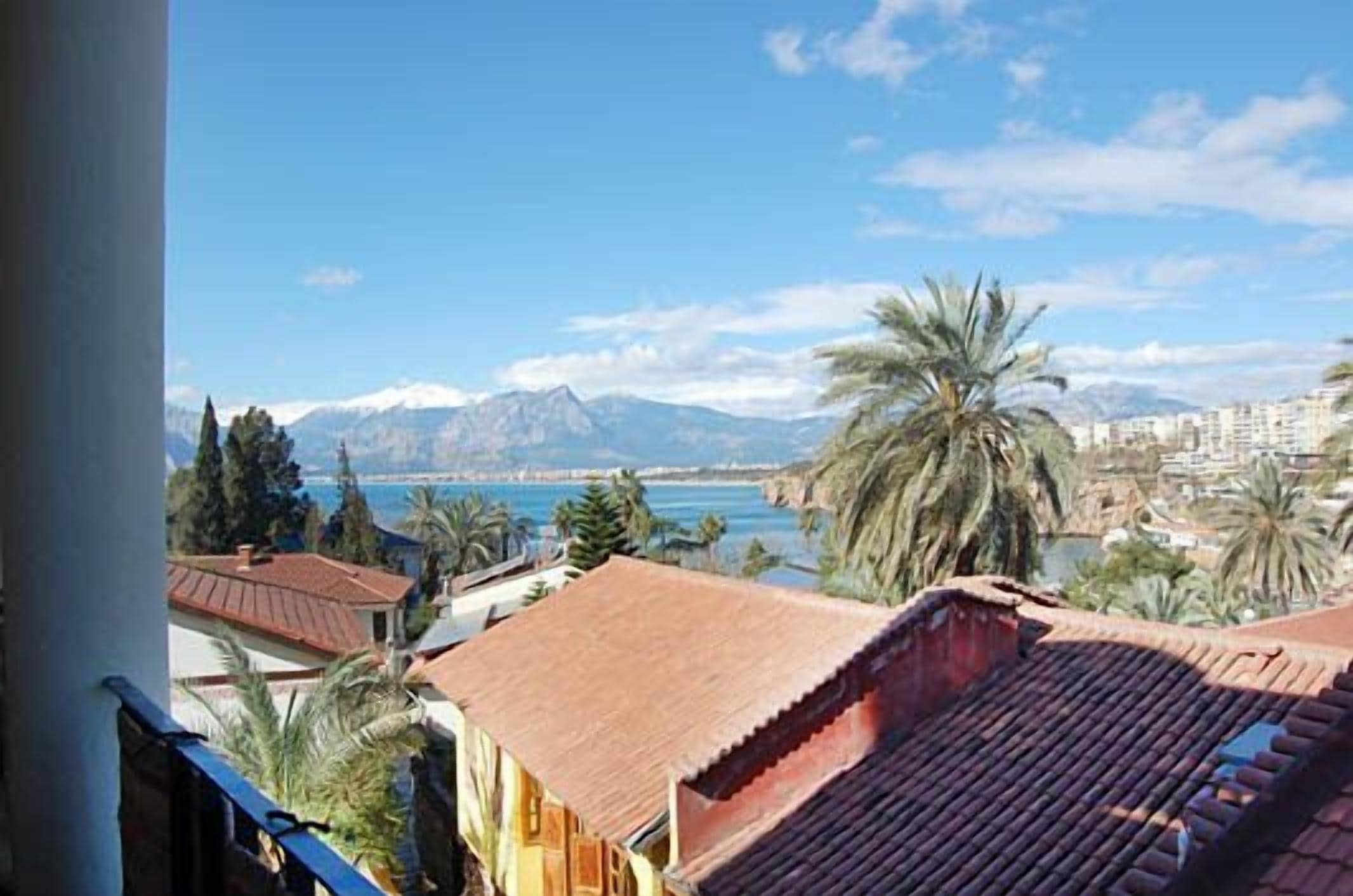 Foto - Villa Tulipan