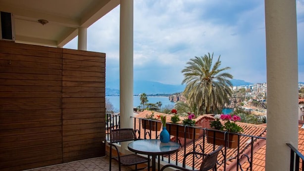 Un balcón con vista al mar, una palmera y el horizonte de la ciudad.