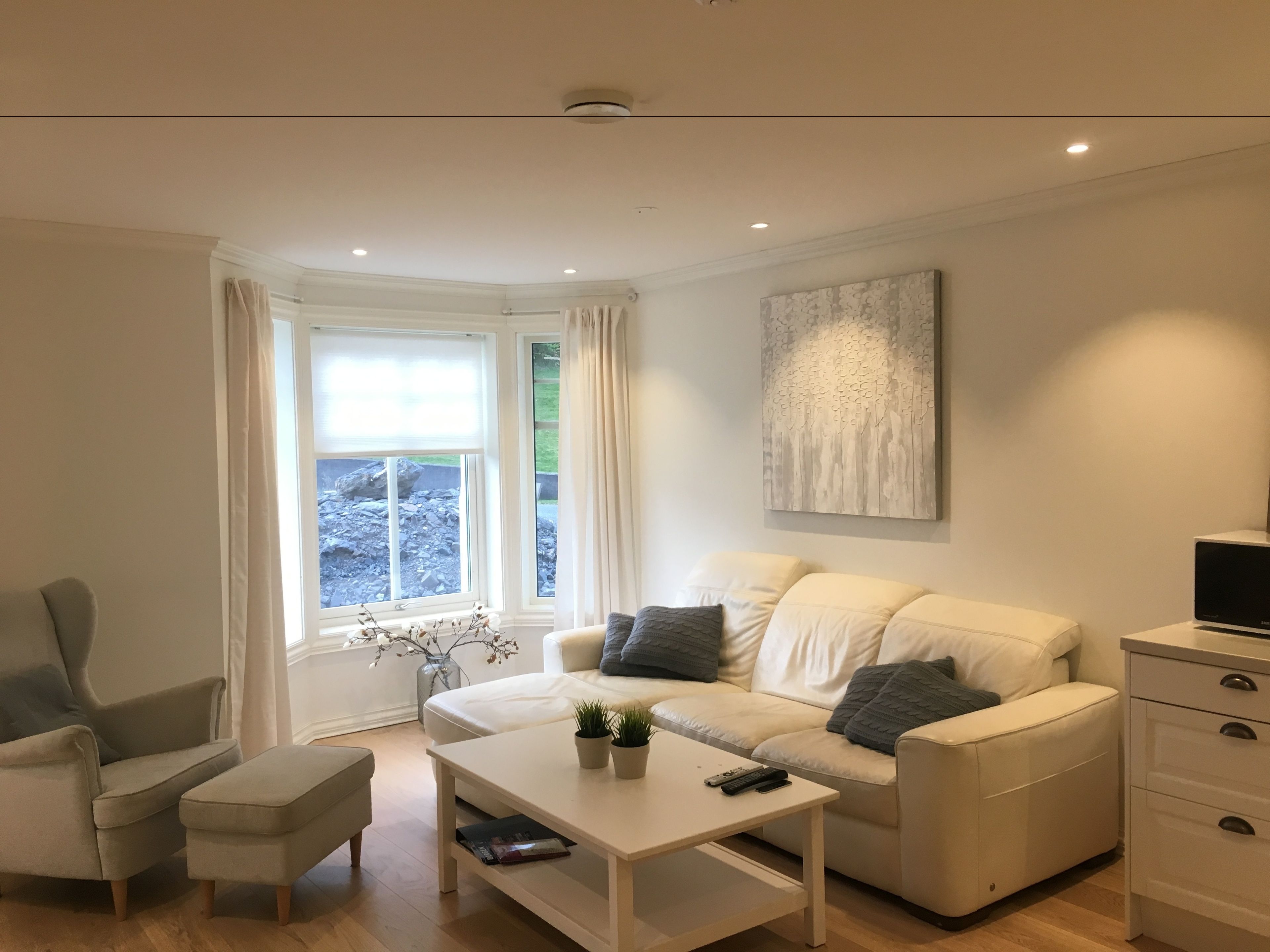 Deluxe Apartment, 2 Bedrooms | Living room | 55-inch flat-screen TV with digital channels, TV