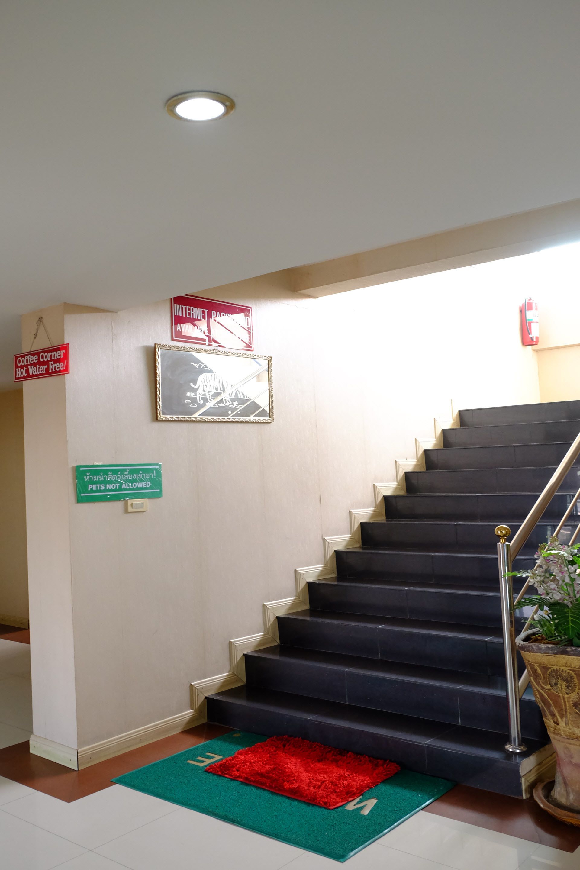 A staircase with black steps, a red carpet, and signs indicating 'Internet Access Available' and 'Pets Not Allowed'.