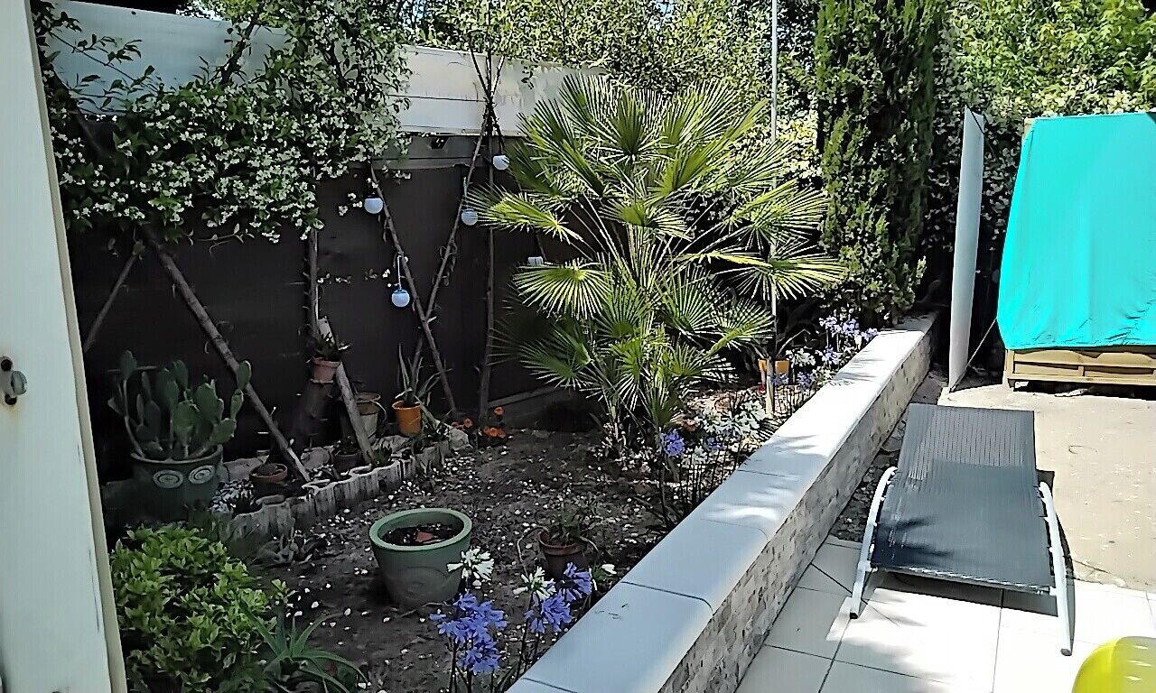 Un jardin avec différentes plantes, un petit arbre et une chaise en métal.