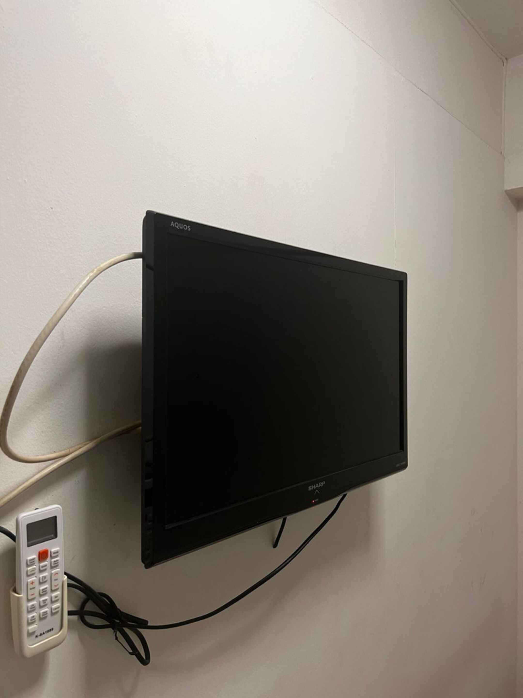 Televizyon