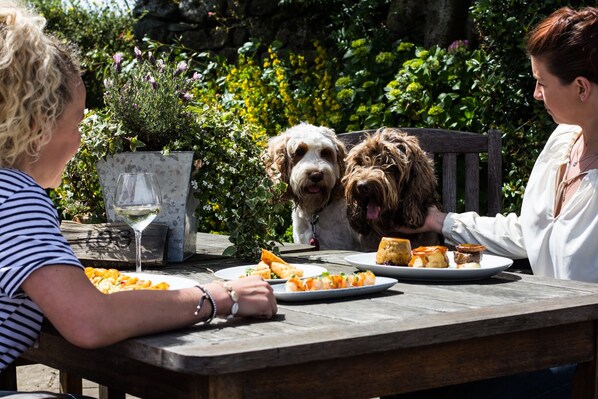 Une table en bois avec des assiettes de nourriture, un verre à vin et deux chiens.