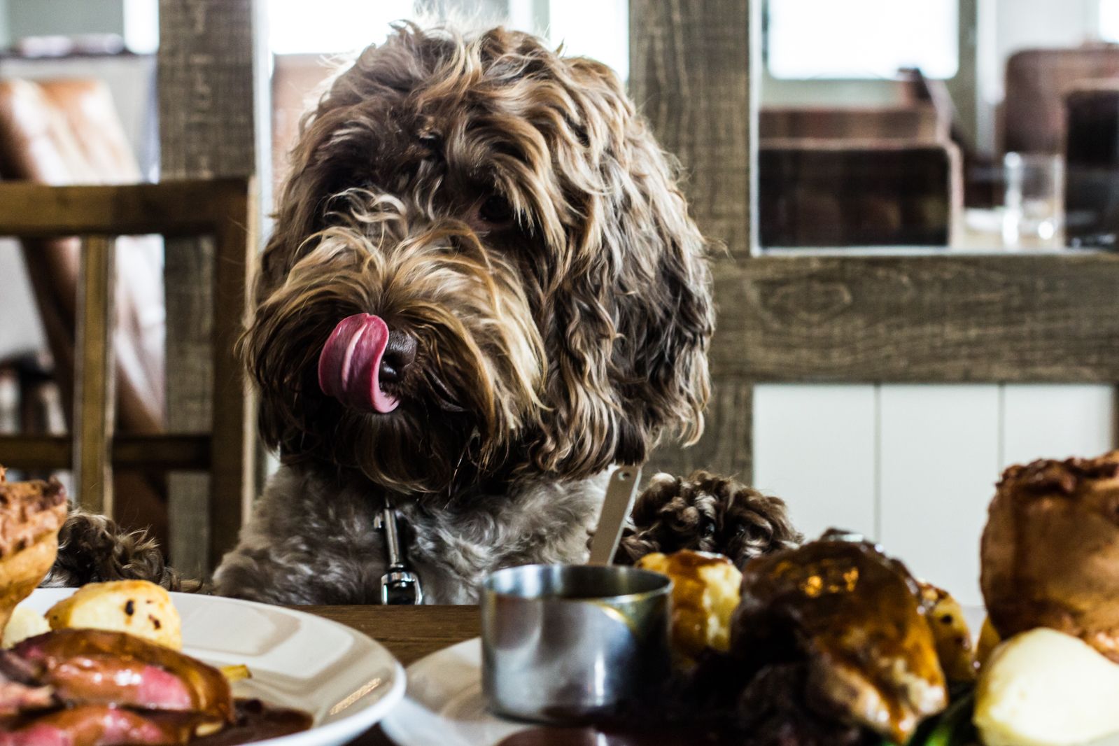 A dog sitting at a table with various dishes, including sausages and potatoes.