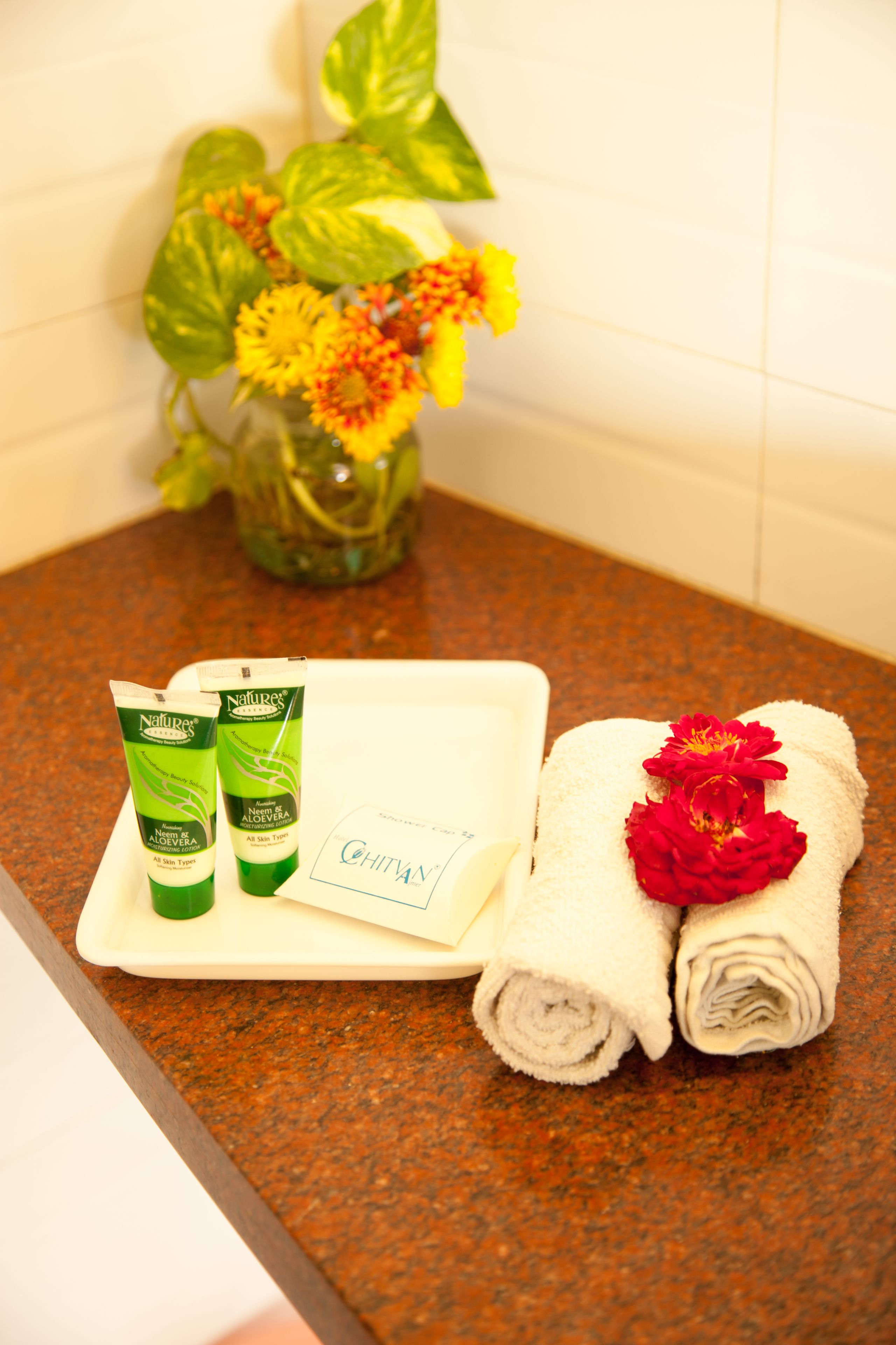 A bathroom counter with a tray containing two Nature's Essence Aloe Vera tubes, a white towel, and a red flower.