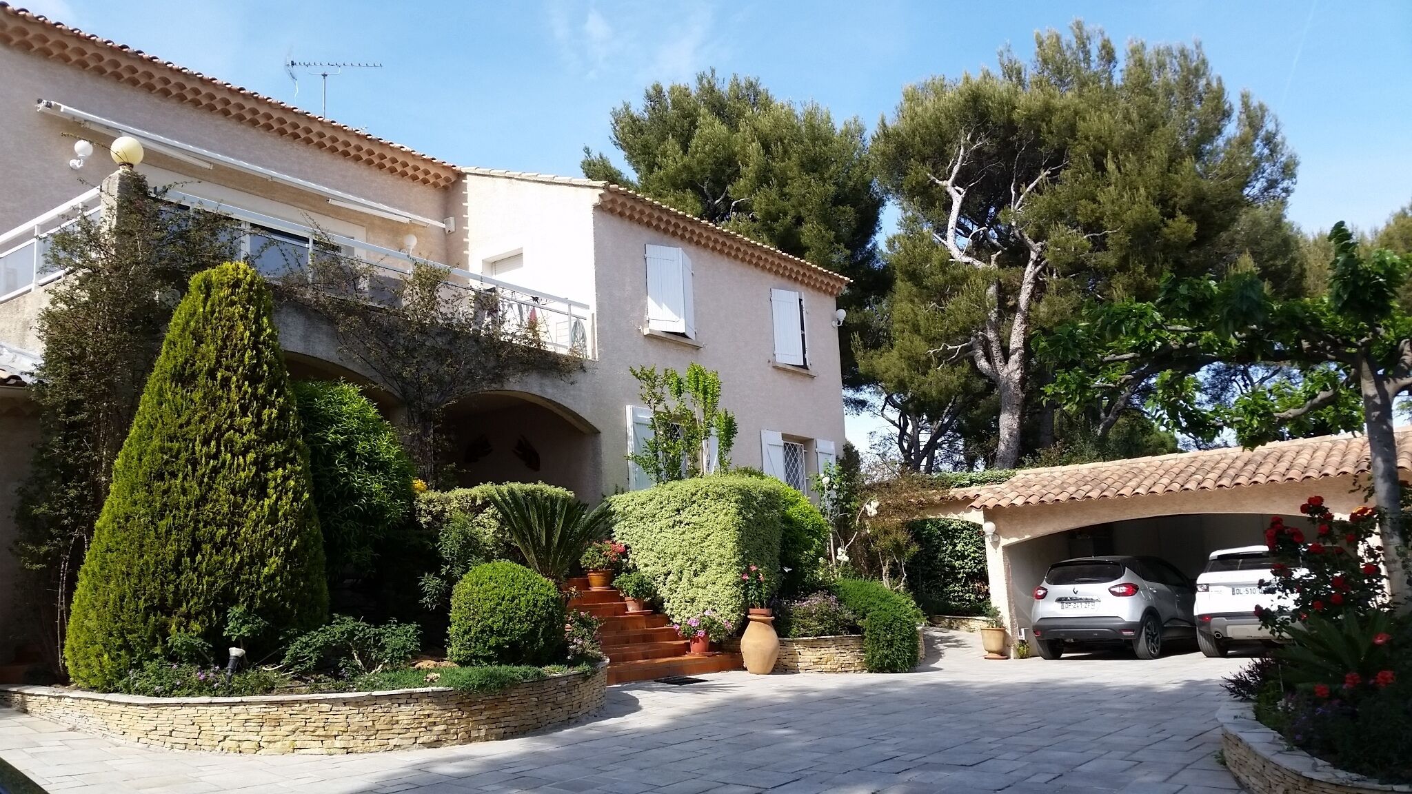 A residential property with a paved driveway, a covered carport, and a well-maintained garden with various shrubs and a tall conifer.