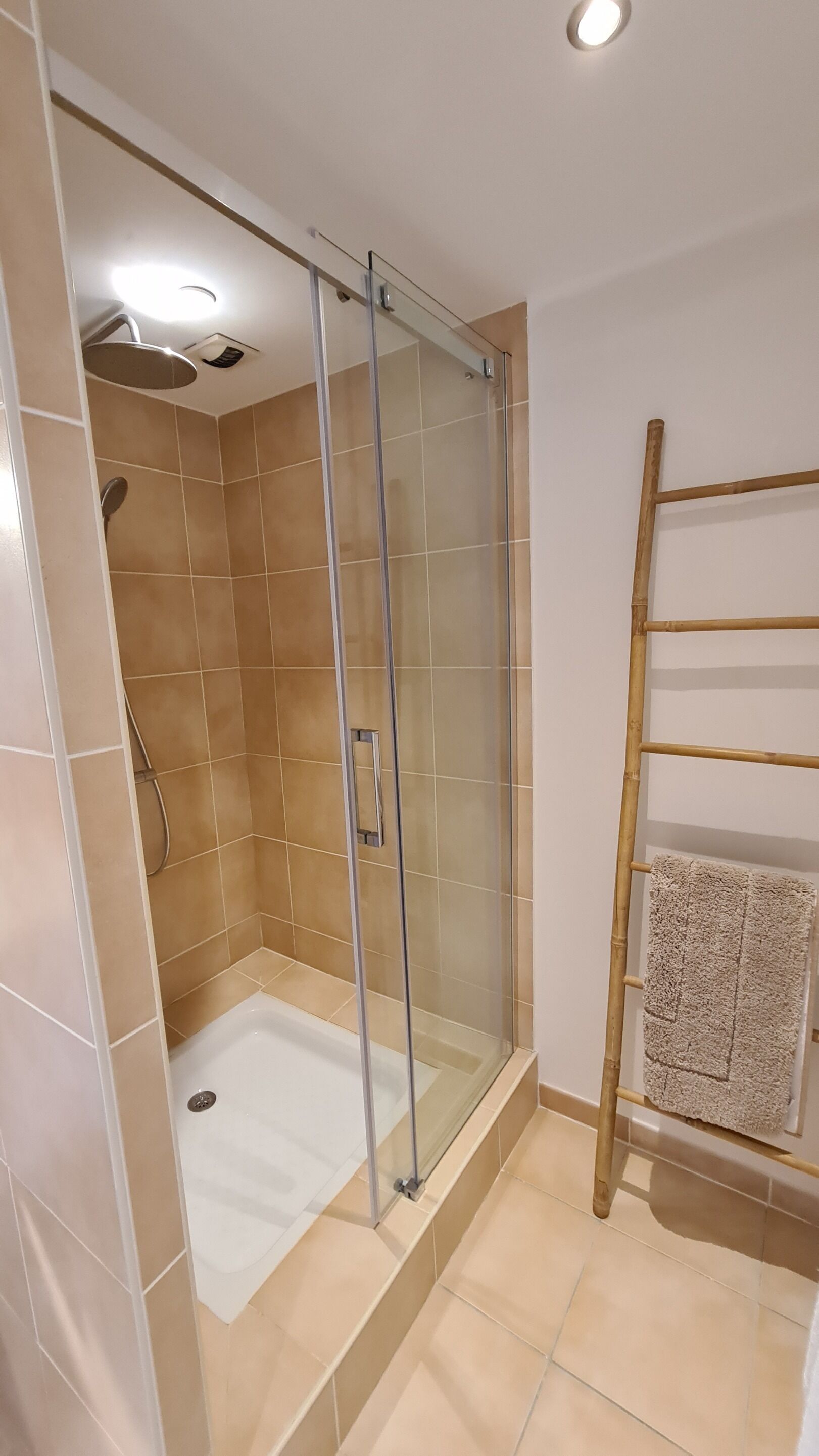 A shower with a glass door, a towel rack with a towel, and a wooden ladder.